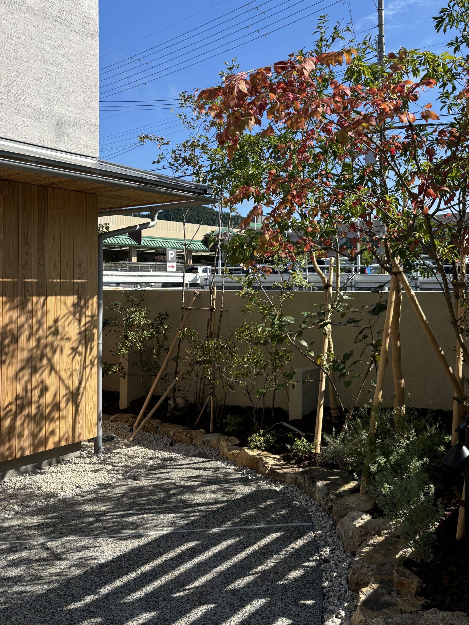 高性能リノベーション実験住宅の植栽